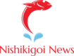 Nishikigoi News